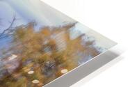 Autumn Glow HD Metal print
