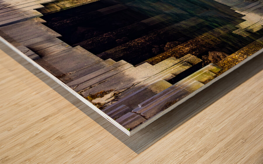 Marina Life Reflected Wood print