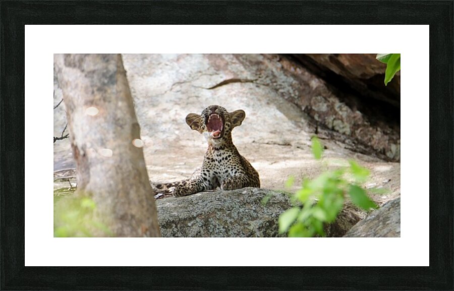 Hey Hooman Picture Frame print
