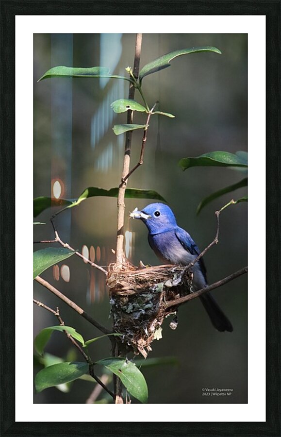 Lunch Time Picture Frame print