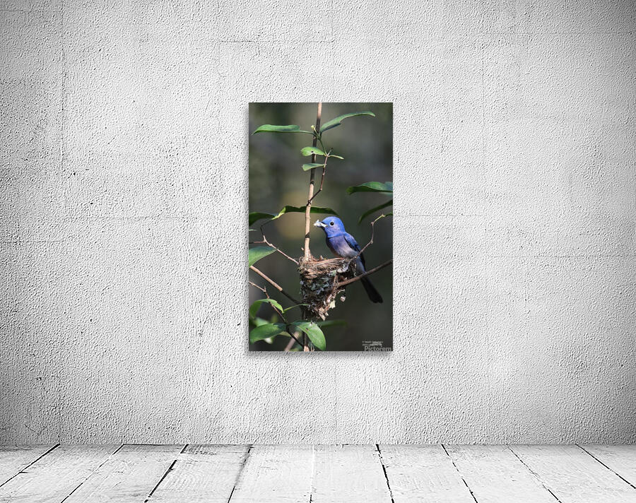 Lunch Time Wall Preview