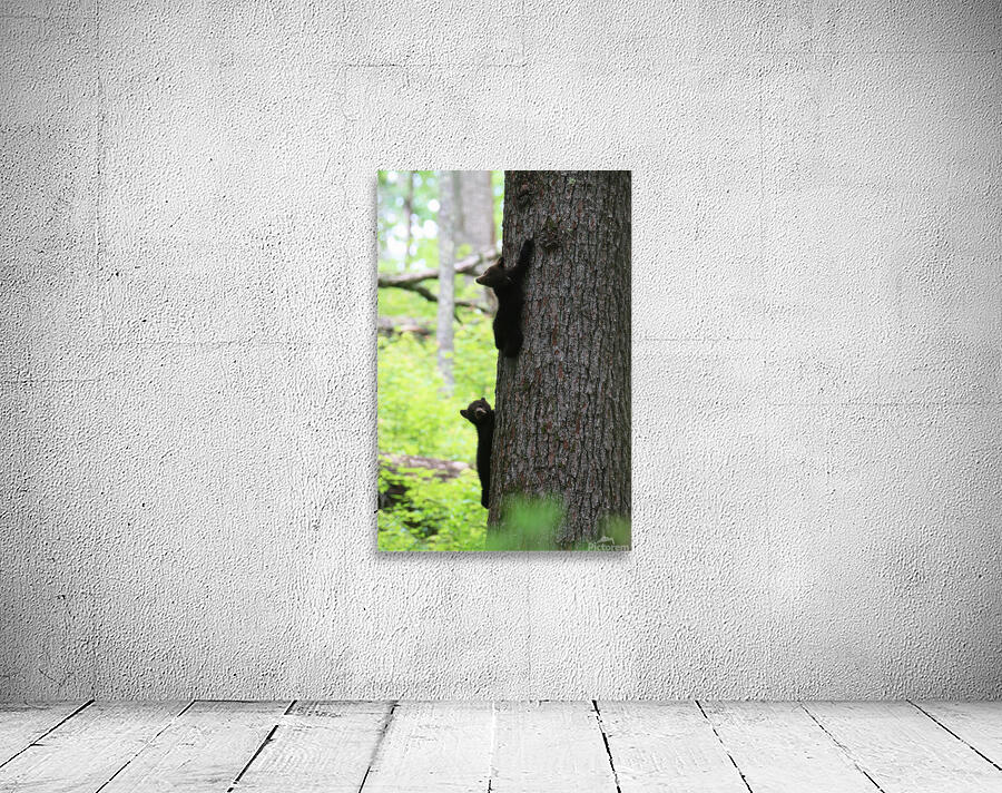 Vertical Mischief  Wall Preview
