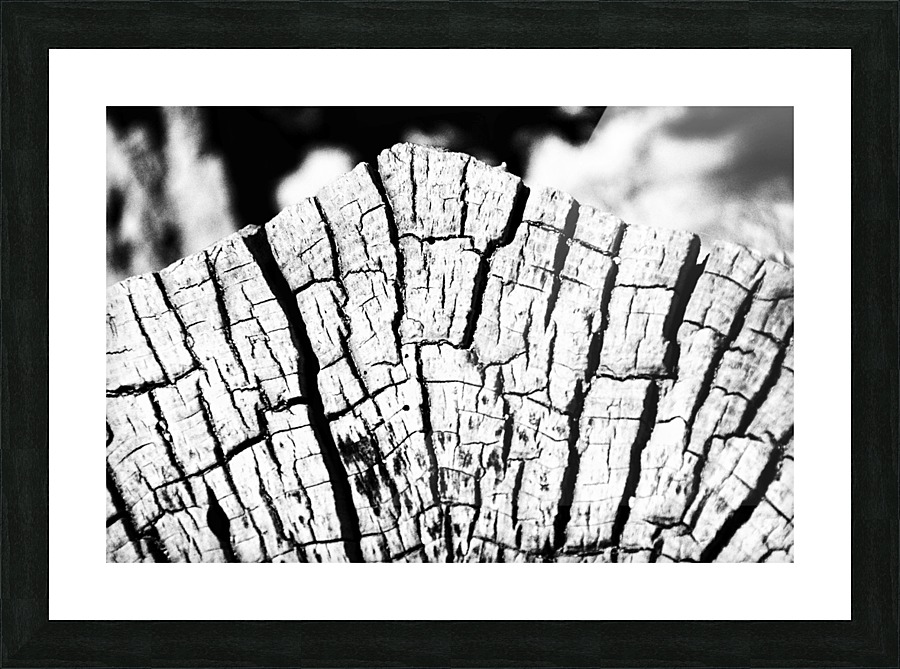 Crosscut Picture Frame print