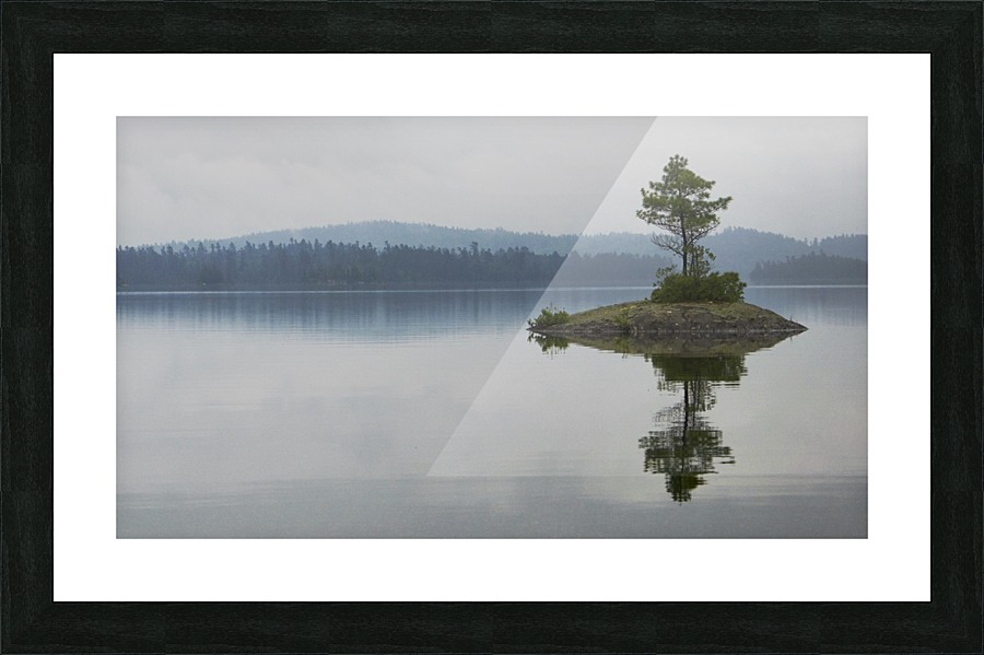 Lone Pine Stands Tall Picture Frame print