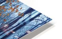 Early winter forest HD Metal print