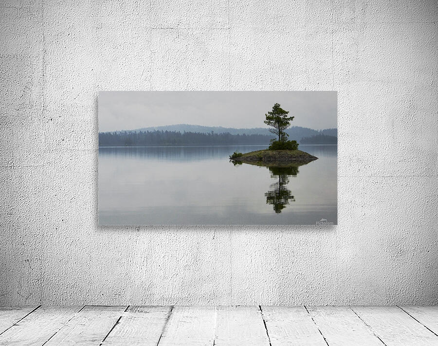 Lone Pine Stands Tall Wall Preview