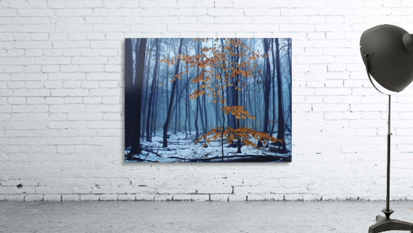 Early winter forest Wall Preview