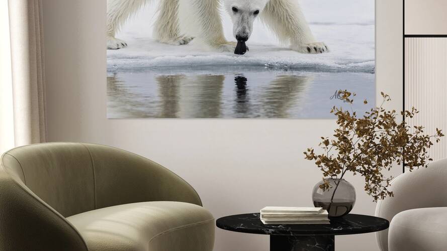 Polar Bear by AgnesC