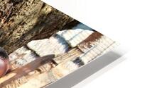 Zulu Future HD Metal print
