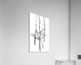 tree4 Acrylic Print