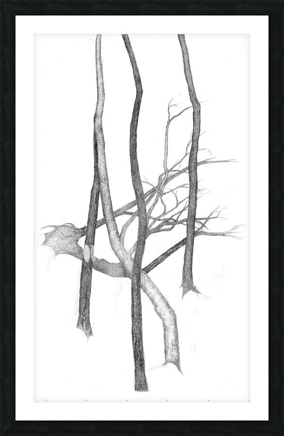 tree4 Picture Frame print
