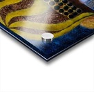 Shamash Acrylic print