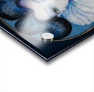 Featherly Blue Acrylic print