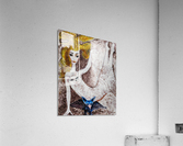 Mirage Acrylic Print
