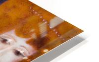 Confidant HD Metal print