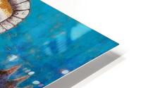 Halcyon Days HD Metal print