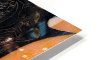 Hair Cat HD Metal print