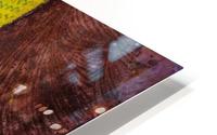 Ram-Amiable HD Metal print