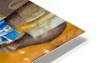 Enigmatic Quest HD Metal print