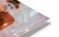 Fanciful Fellowship HD Metal print