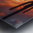 Cactus Sunset Trail – Desert Glow at Golden Hour Metal print