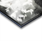 The doves bw Acrylic print