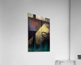 Window Acrylic Print