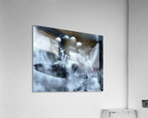 Taking flight Acrylic Print