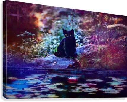 Kitty by the pond Canvas Print