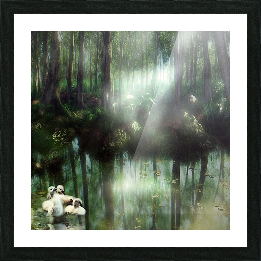 Ducklings Picture Frame print