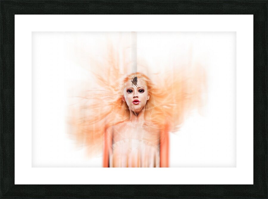 The spider Picture Frame print