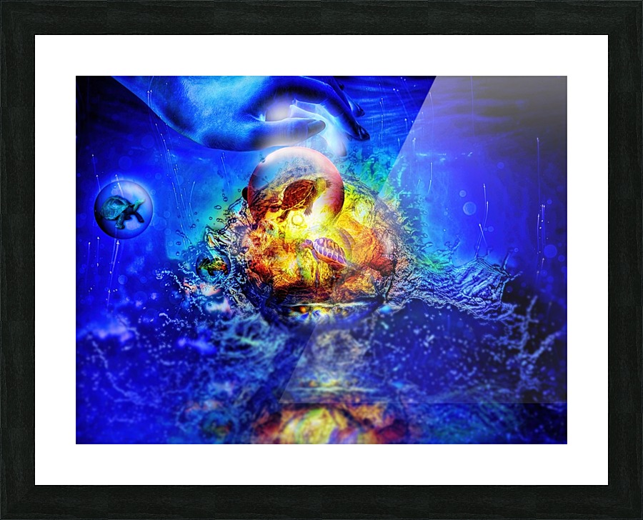 The turtles  Picture Frame print