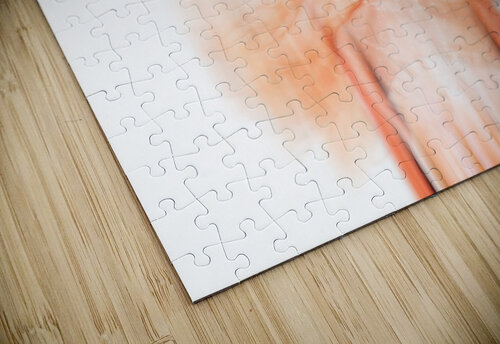 The spider Elizabeth Berry   puzzle