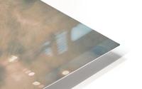 Beauty  HD Metal print
