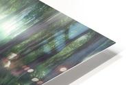 Ducklings HD Metal print