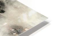 The wolf HD Metal print