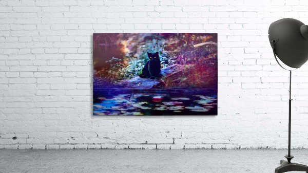 Kitty by the pond Wall Preview