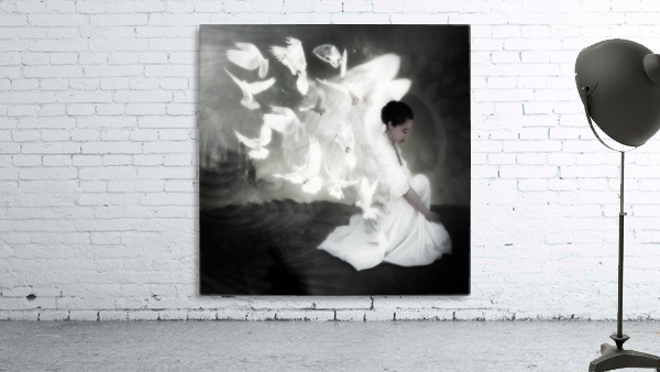 The doves bw Wall Preview