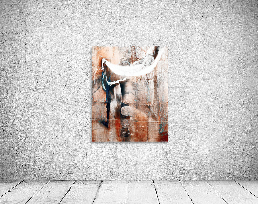 Dancer in the forest Wall Preview