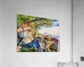 Lake Michigan  Acrylic Print