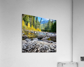 Icicle Creek Acrylic Print