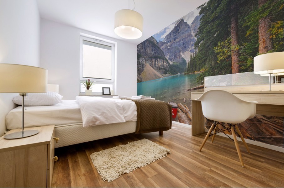 Moraine Lake  Mural print