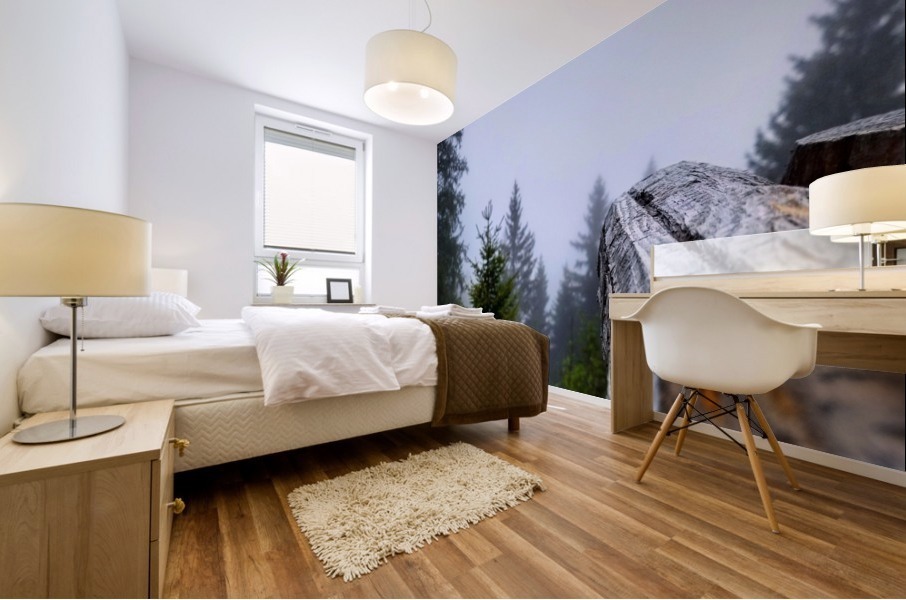 Mt Rigi Mural print