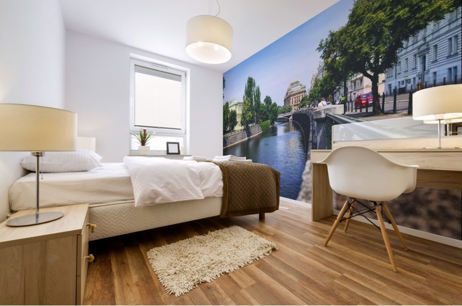 Vtlava River Mural print