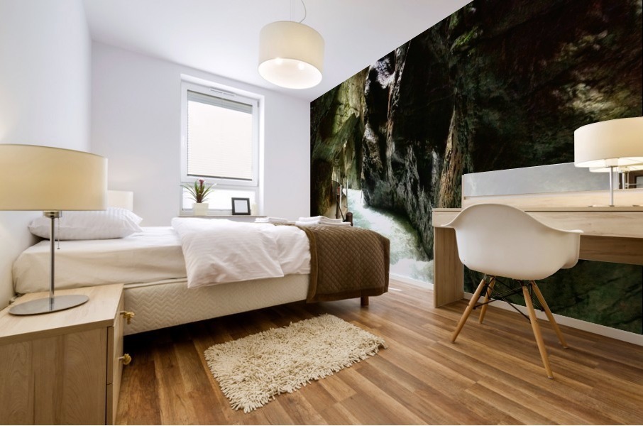 Partnach Gorge  Mural print