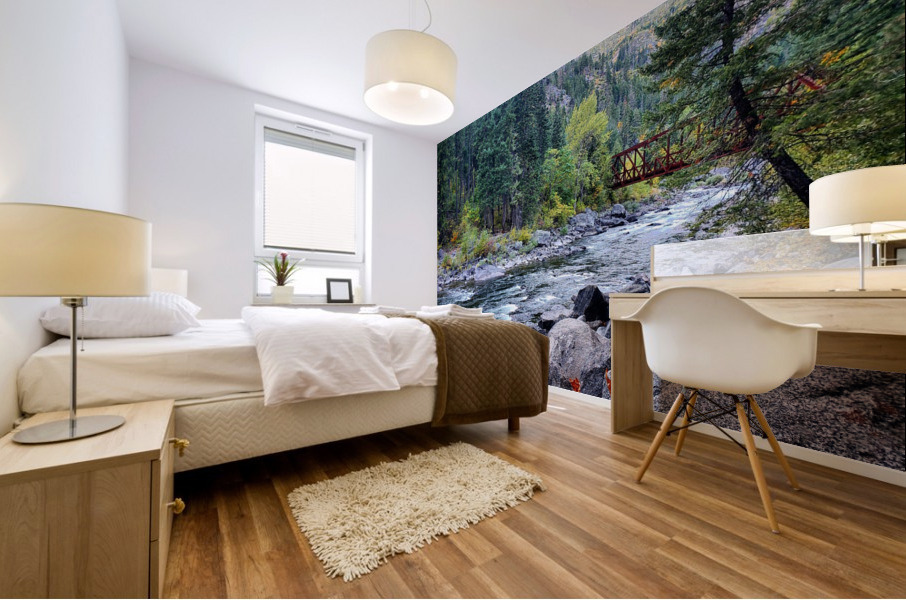 Old Pipeline Bed Trail Mural print
