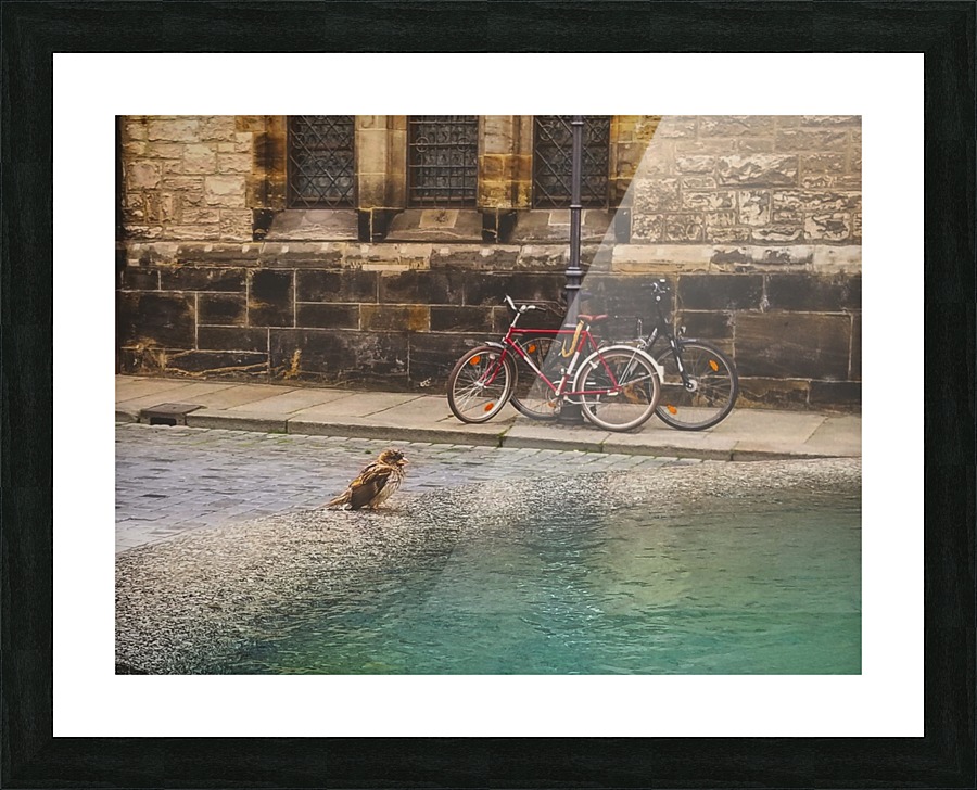 Leipzig  Picture Frame print