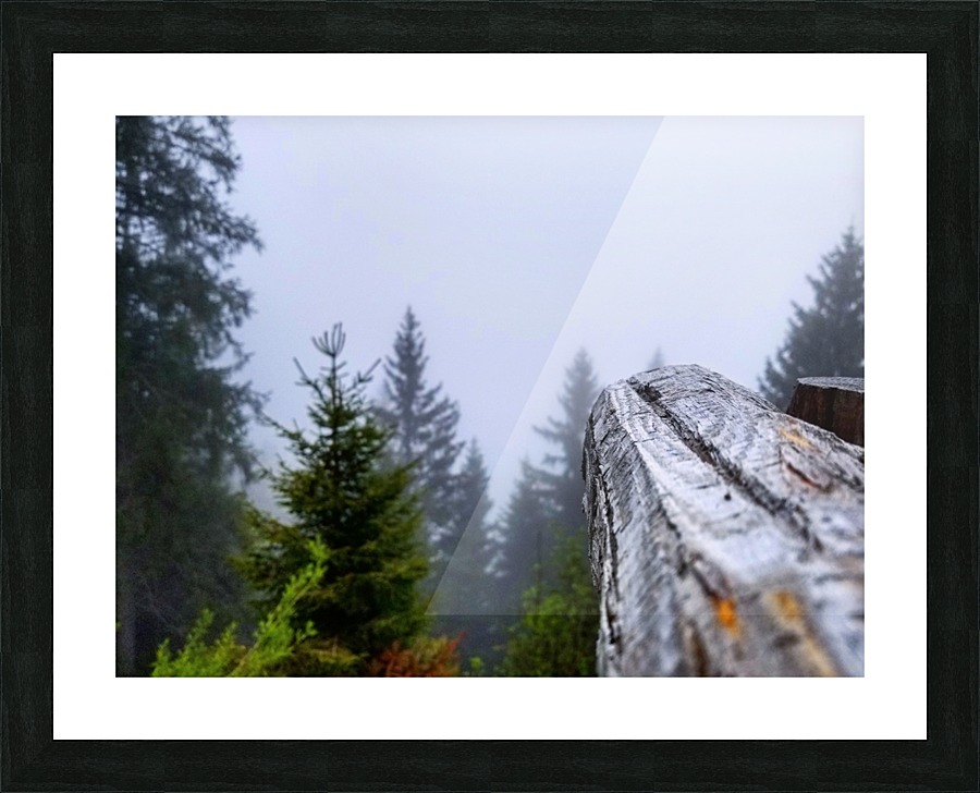 Mt Rigi Picture Frame print