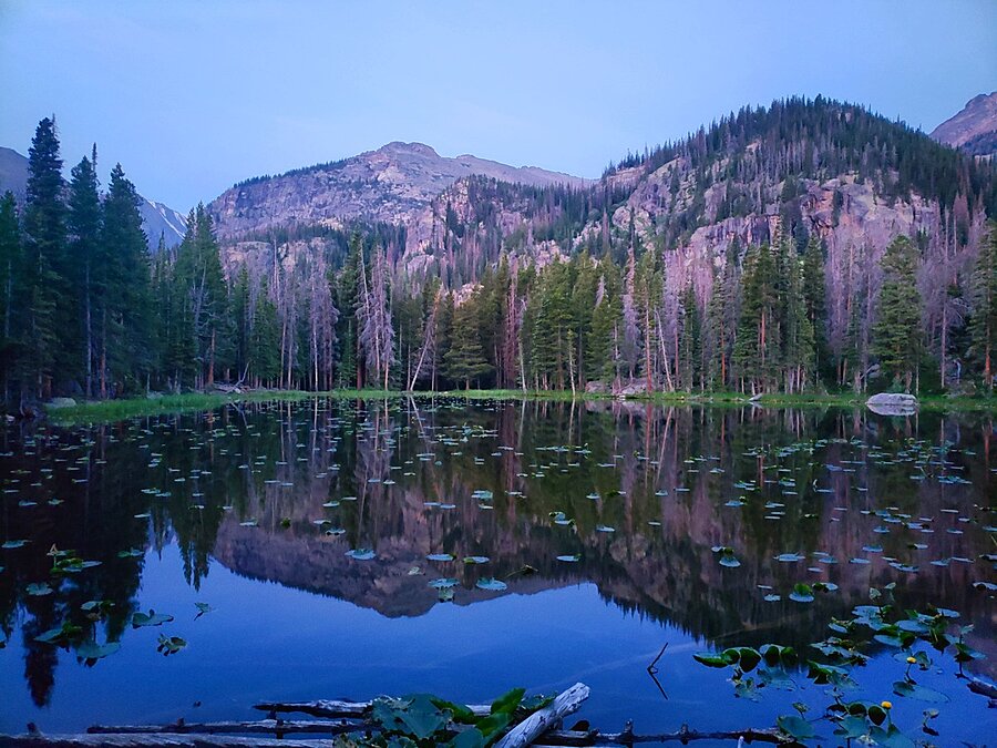 Nymph Lake  Picture Frame print