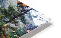 Old Pipeline Bed Trail HD Metal print